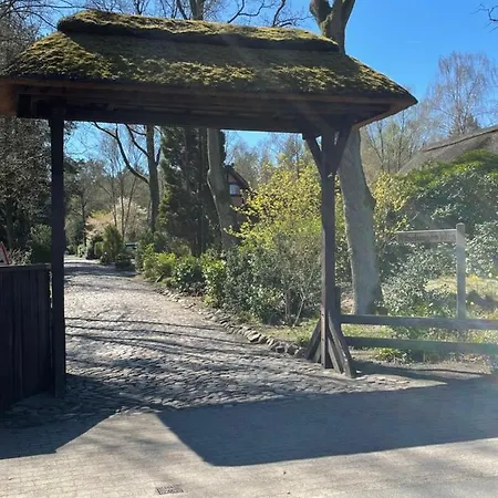Unter Reet Im Heidedorf Bei Lueneburg Sankt Dionys