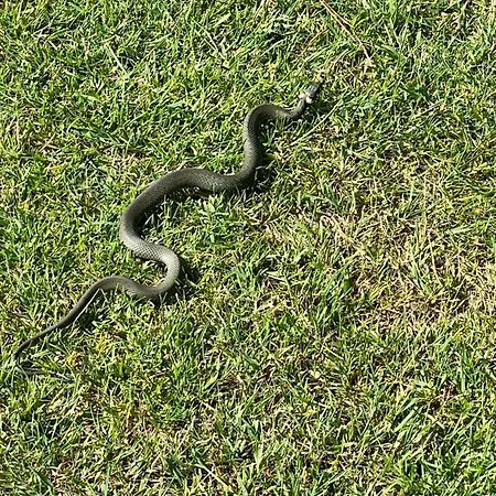 度假居 Unter Reet Im Heidedorf Bei Lueneburg