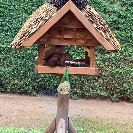 Unter Reet Im Heidedorf Bei Lueneburg Casa vacanze