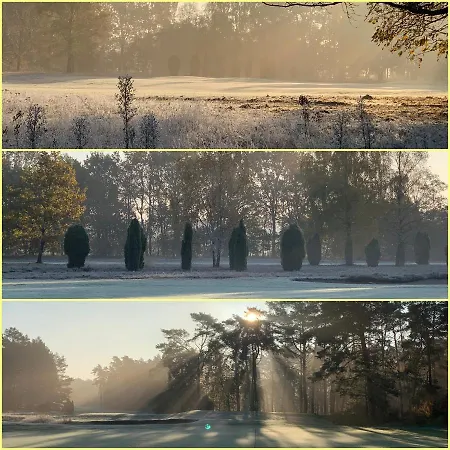 Unter Reet Im Heidedorf Bei Lueneburg Sankt Dionys