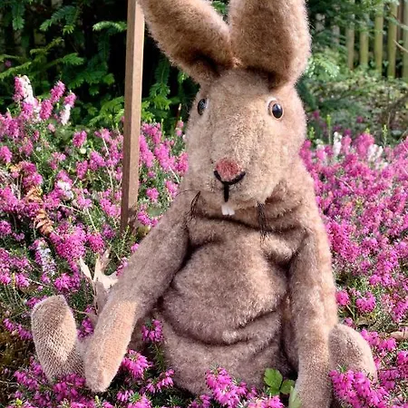 Дом отдыха Unter Reet Im Heidedorf Bei Lueneburg *