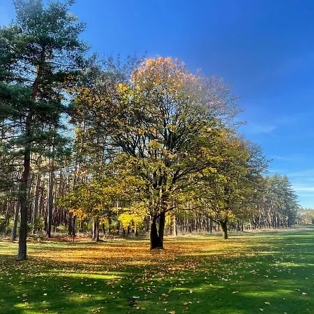 Unter Reet Im Heidedorf Bei Lueneburg Sankt Dionys