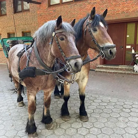 Unter Reet Im Heidedorf Bei Lueneburg Casa vacanze *