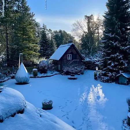 Unter Reet Im Heidedorf Bei Lüneburg Ferienhaus *