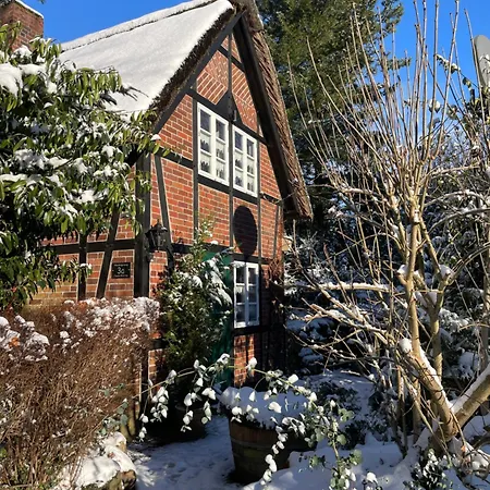 Unter Reet Im Heidedorf Bei Lüneburg * Sankt Dionys