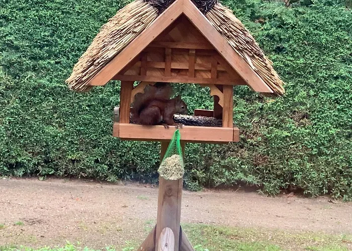 Unter Reet Im Heidedorf Bei Lueneburg Casa de Férias