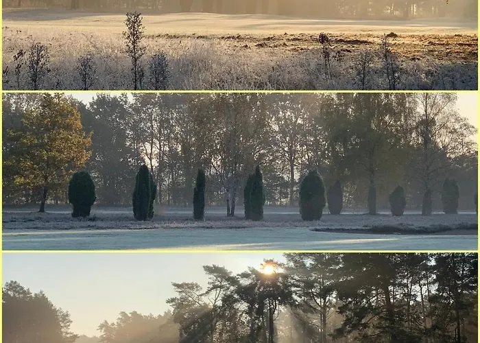 Unter Reet Im Heidedorf Bei Lueneburg Sankt Dionys