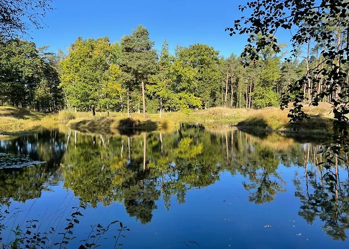 Unter Reet Im Heidedorf Bei Lueneburg Sankt Dionys