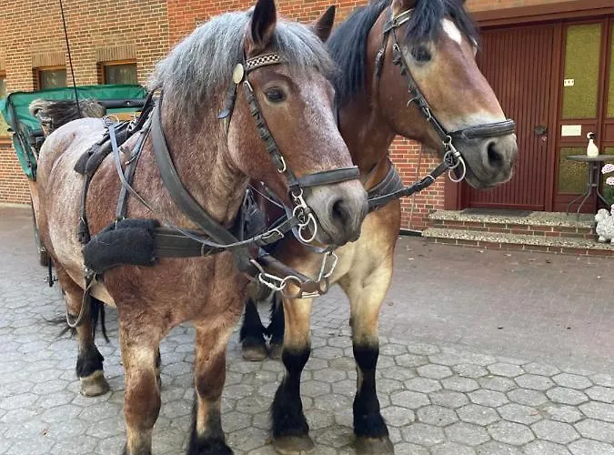 Unter Reet Im Heidedorf Bei Lueneburg Casa de Férias *